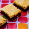 german chocolate snack cake