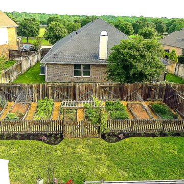 Urban vegetable garden -- 10 Steps to Start an Organic Garden | JenniferCooks.com