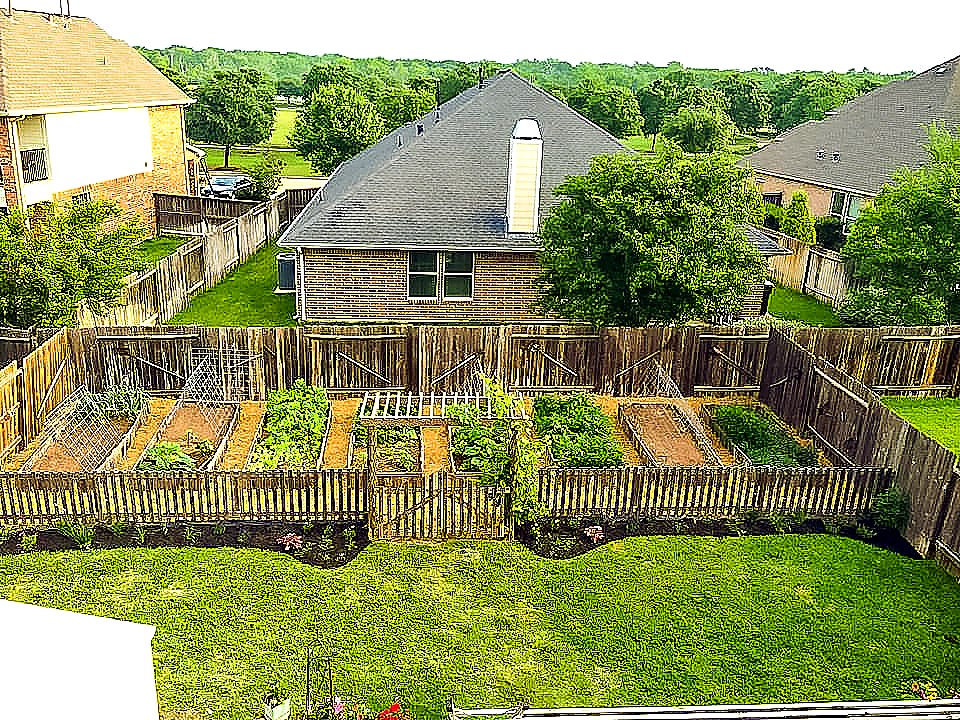 Urban vegetable garden -- 10 Steps to Start an Organic Garden | JenniferCooks.com