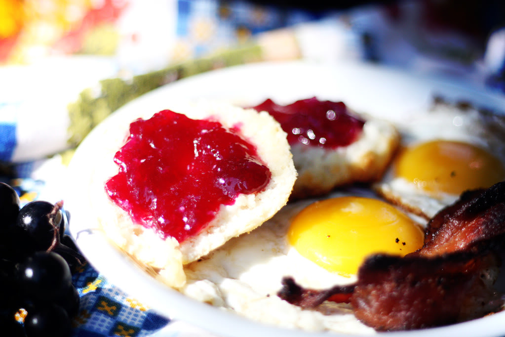 how-to-make-wild-mustang-grape-jelly-recipe