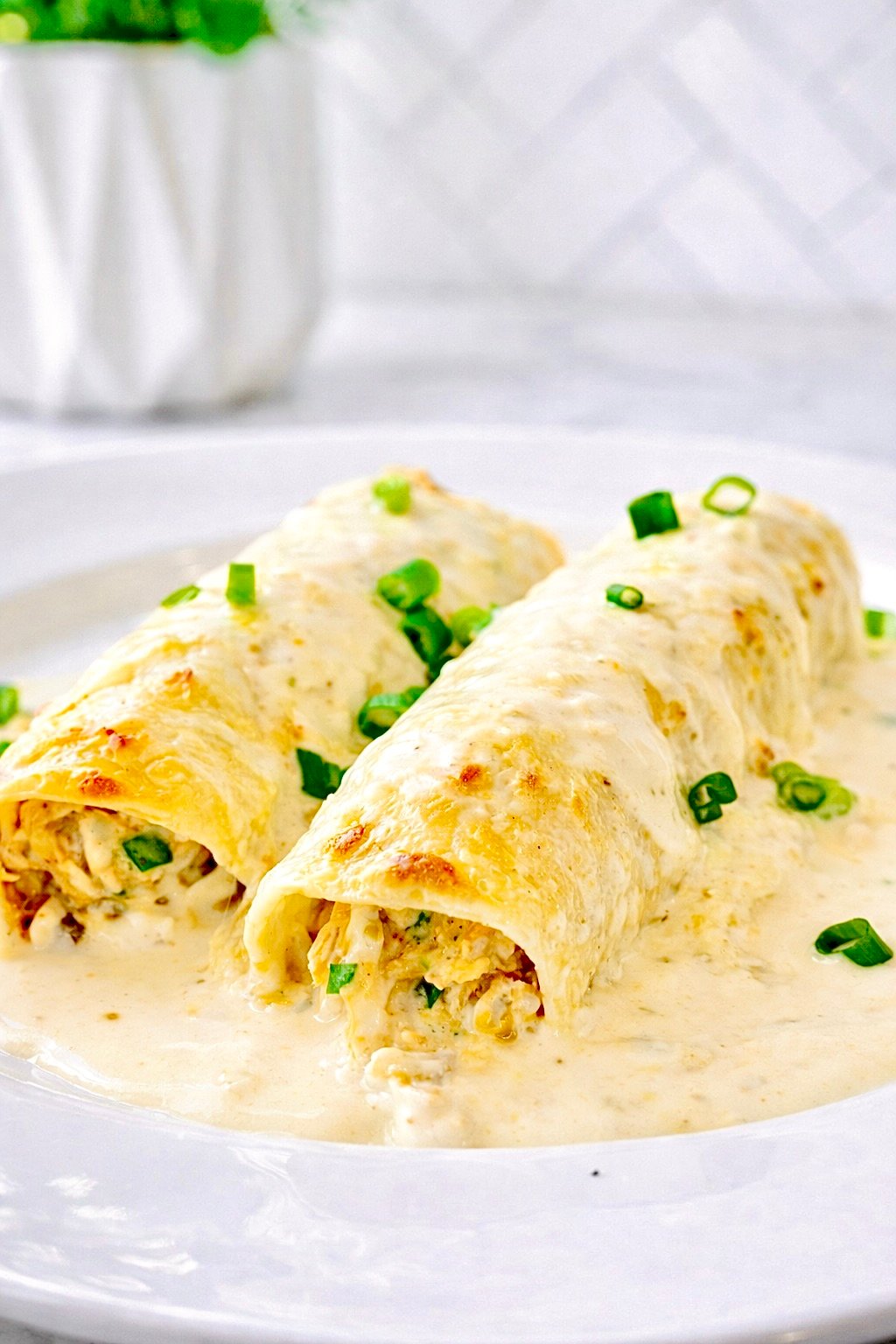 Close-up of creamy white chicken enchiladas with salsa verde sauce and green onions on a white plate