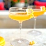 Classic Bee's Knees Cocktail on Jennifer Cooks