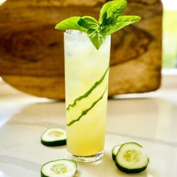 Garden Gimlet cocktail in a highball glass with fresh basil and cucumber ribbon garnish, served over ice.