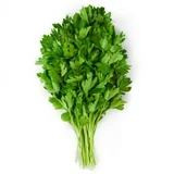 Fresh Parsley