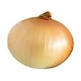 Sweet Onion