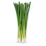 Fresh Green Onions