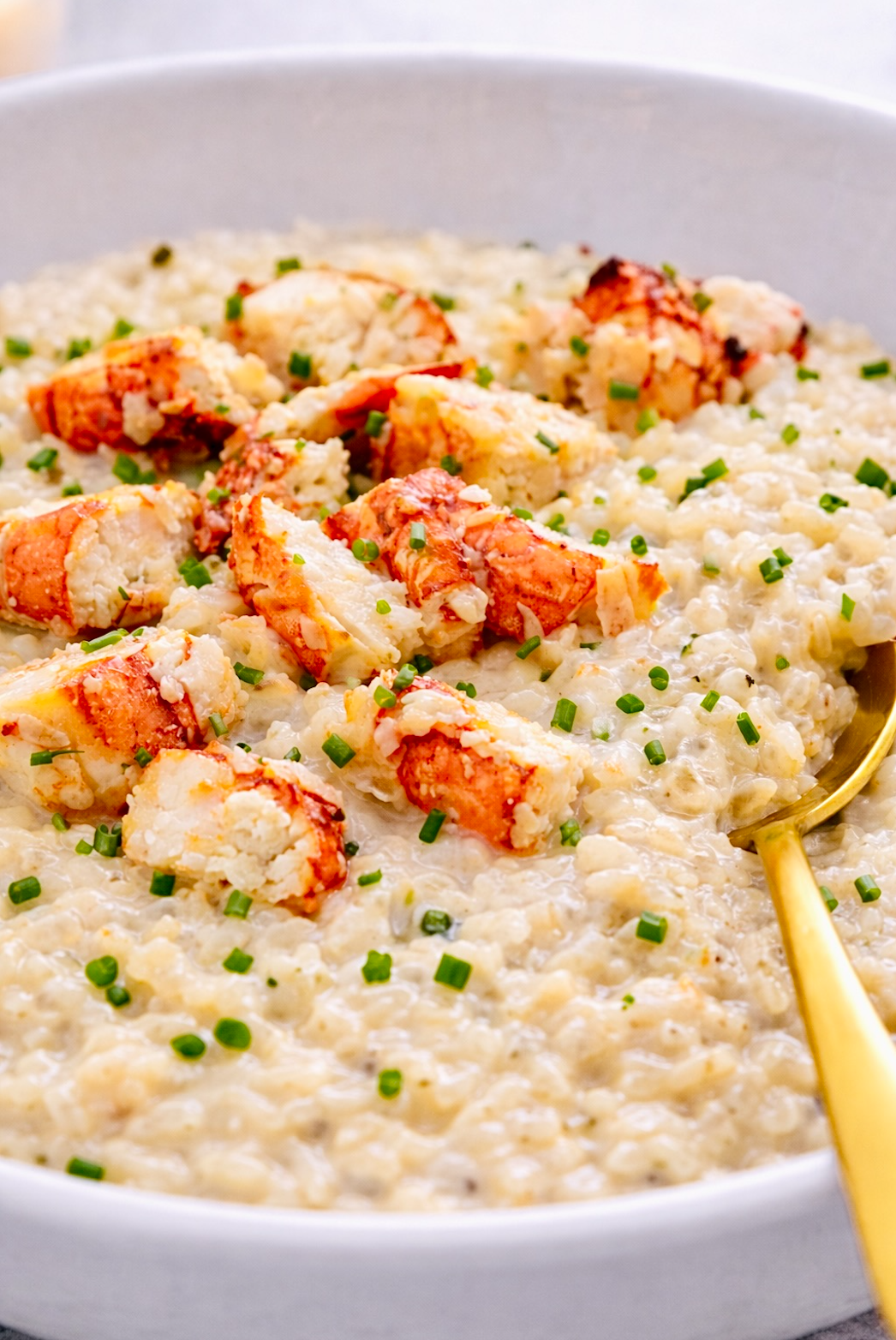 Creamy lobster risotto topped with chunks of lobster meat and chopped chives in a white bowl.