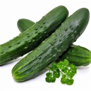 Marketer Cucumber Seeds Pickling Cucumbers