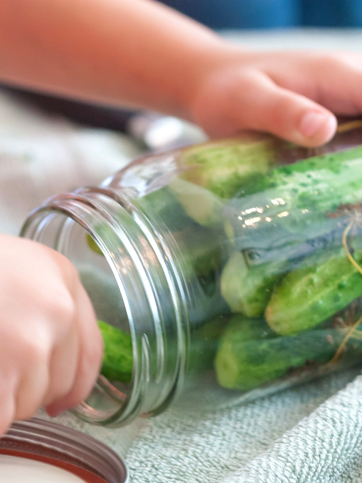 Close-up of hands packing cucumbers and dill into a canning jar