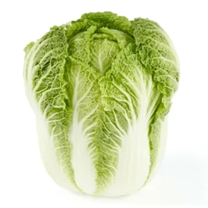 Napa Cabbage