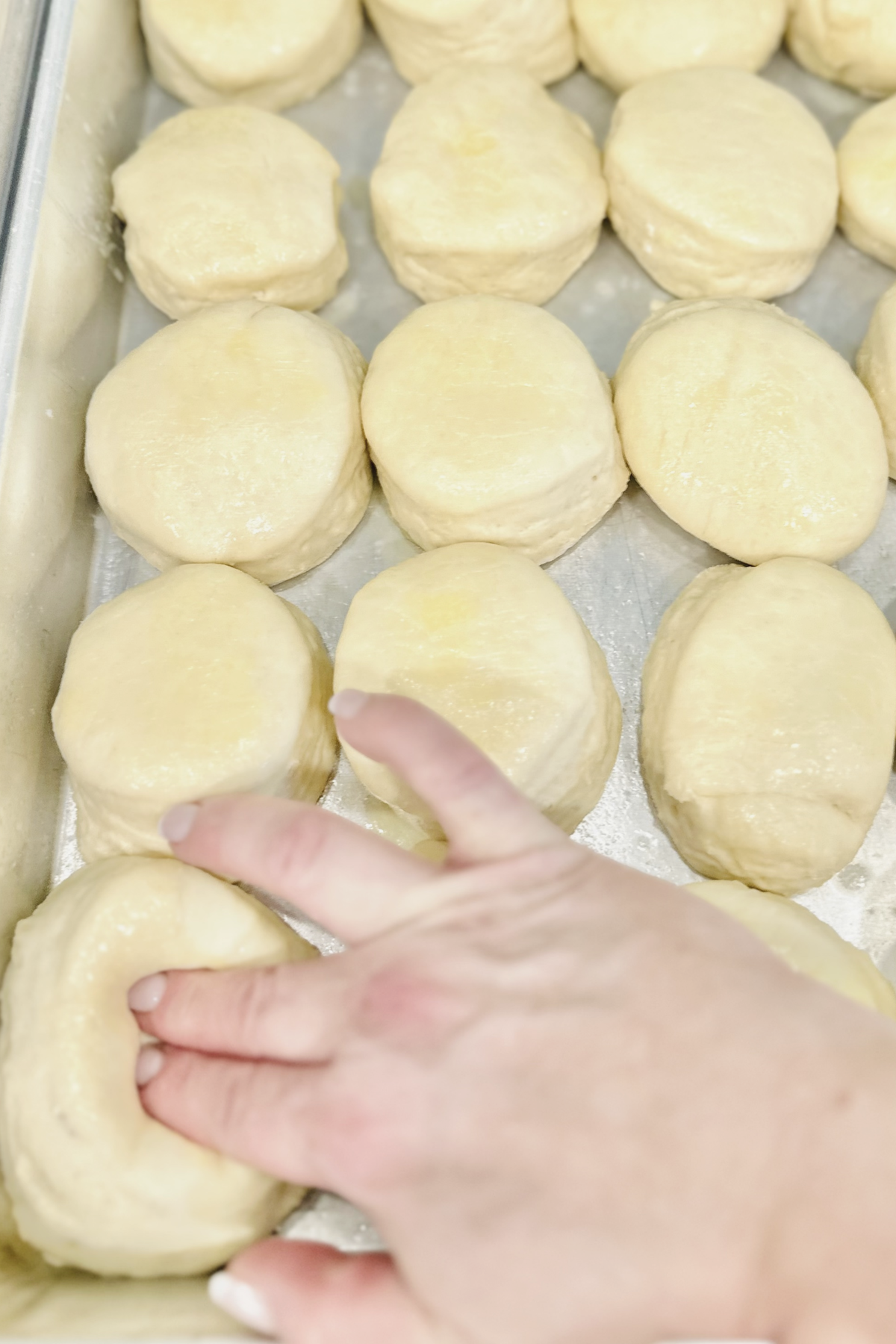 A deep center pressed into each risen kolache dough round by hand.
