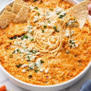 Tortilla chip lifting buffalo chicken dip with ranch, shredded chicken, melted cheese, and blue cheese crumbles.