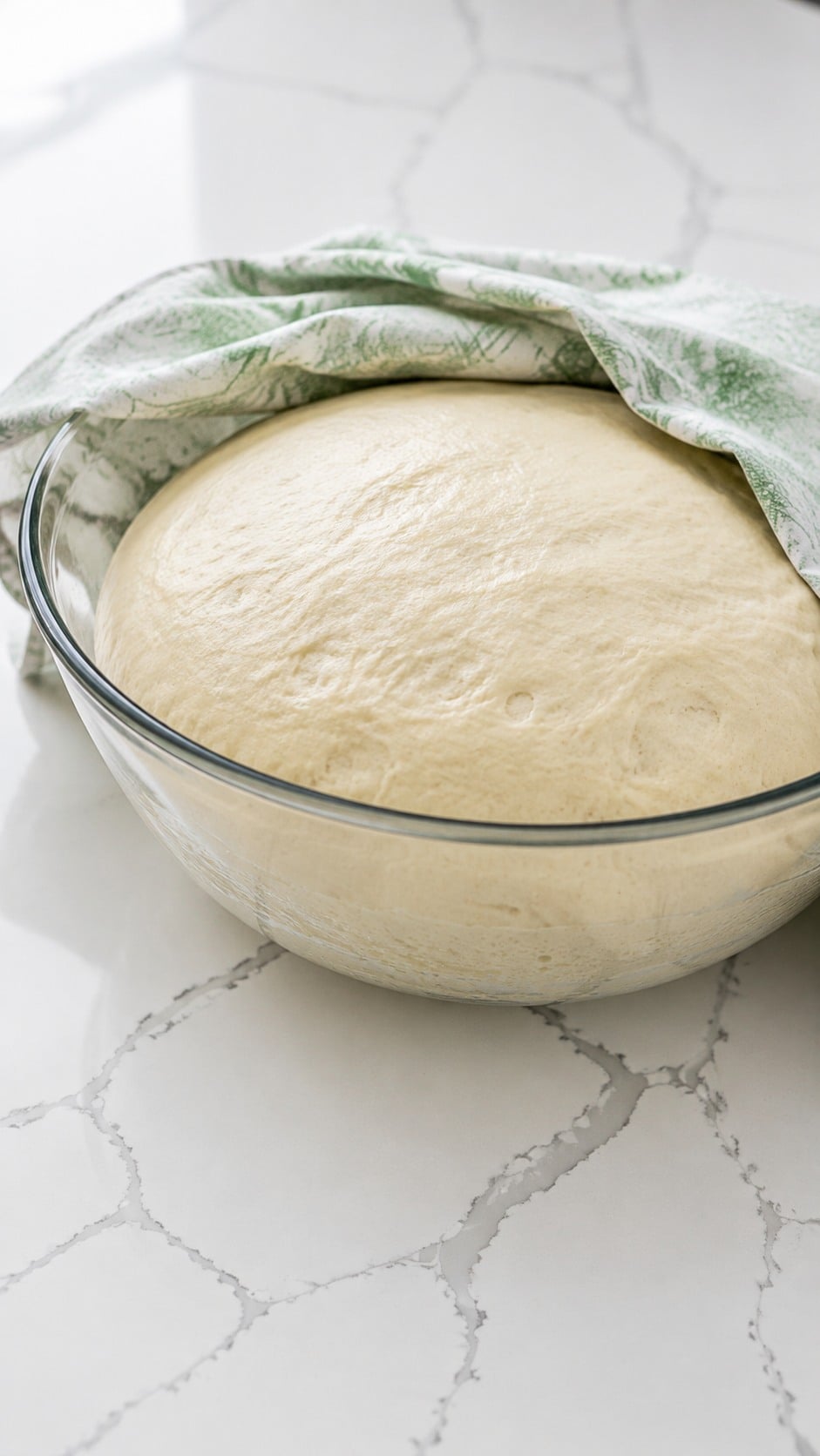 Yeast roll dough doubled in volume in a lightly greased bowl.