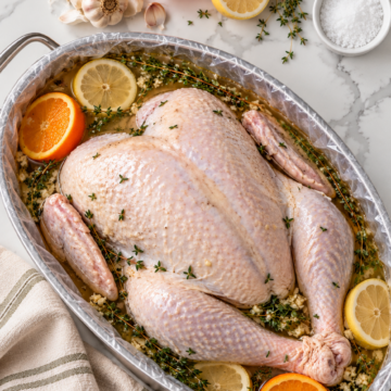 Overhead view of raw turkey with orange and lemon slices in a lined oval brining vessel
