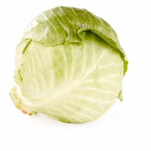Fresh Green Cabbage