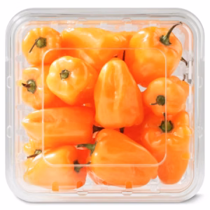 Fresh Scotch Bonnet Peppers